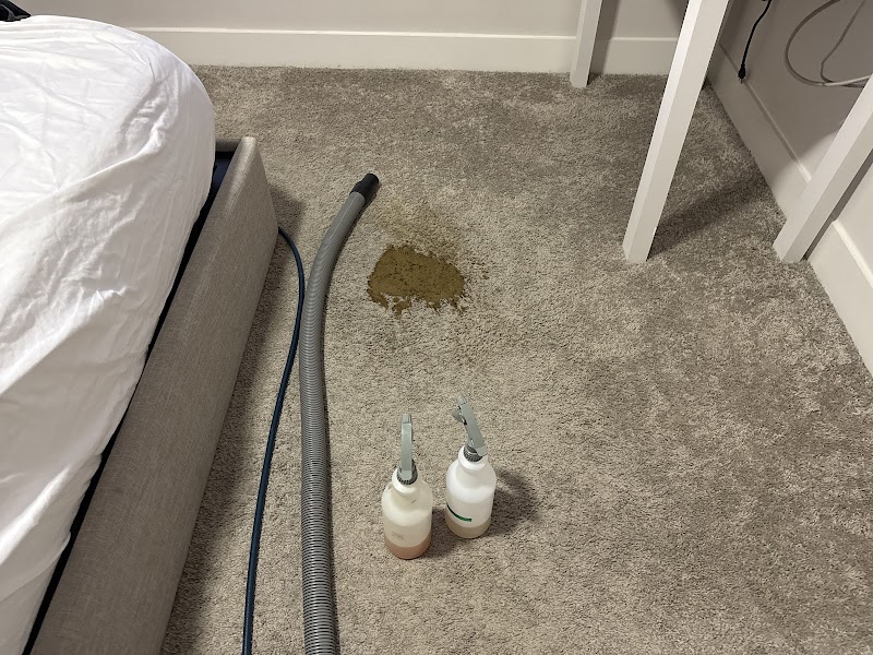 Best Carpet Cleaning Services, LLC - Laundromat in Dallas