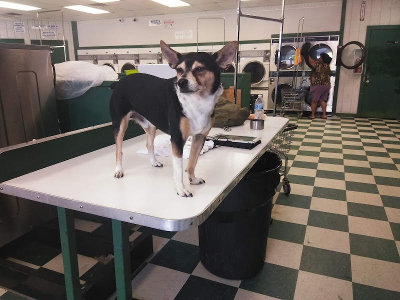 E-Z Wash - Laundromat in San Antonio